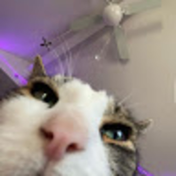 adamsharp139